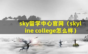 sky留学中心官网（skyline college怎么样）